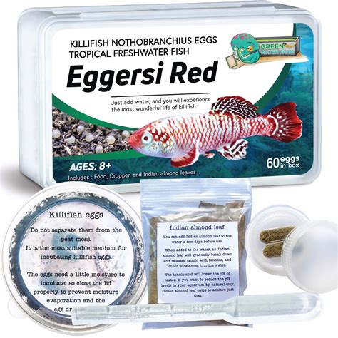 buy killifish eggs